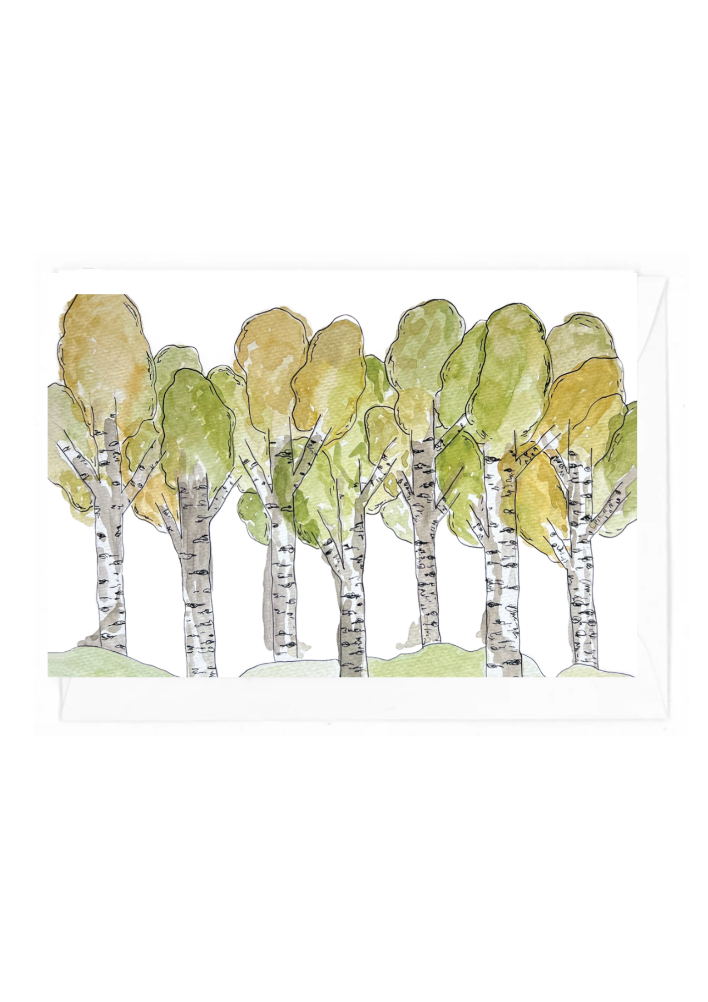 Illustration of aspen trees with green foliage on a white background
