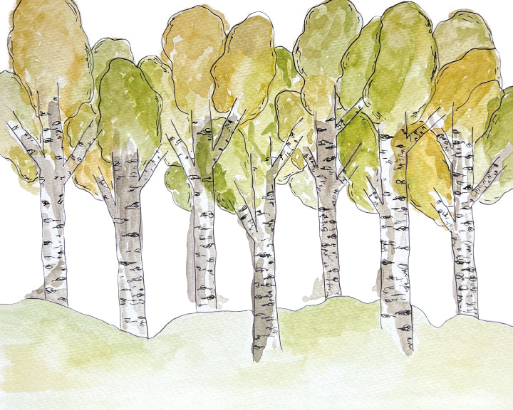 Illustration of aspen trees with green and yellow leaves on a white background